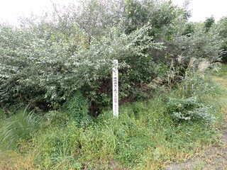 R0509260007
