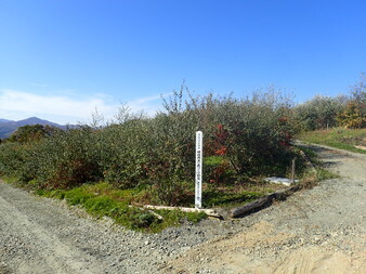 H3010260007
