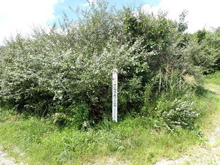 R0508290007
