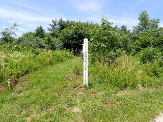 R0507240008
