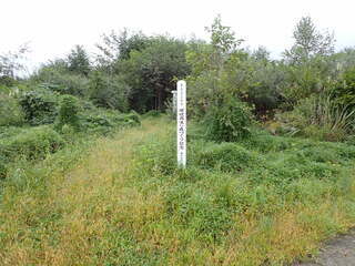 R0509260008