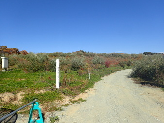 H3010260008