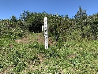 R0409070008