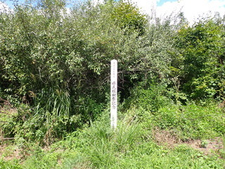 R0508290009