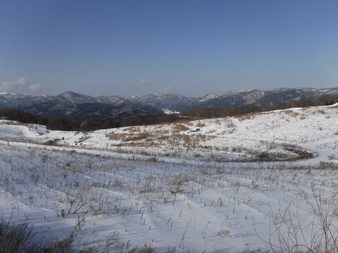 H3012260011