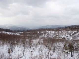 R0602140011
