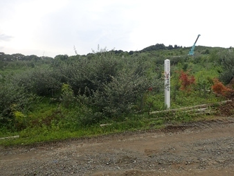 H2908240009