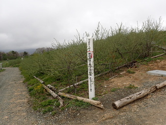 H3005090007