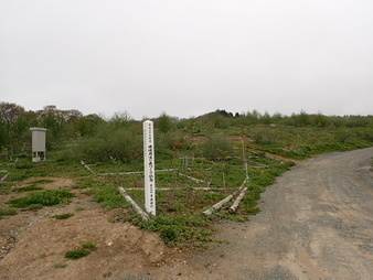 H3005090008
