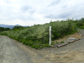 H3005280007