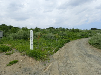 H3005280008