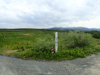 H3005280005
