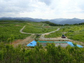 H3005280006