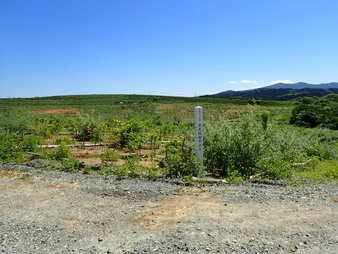 H2906060002