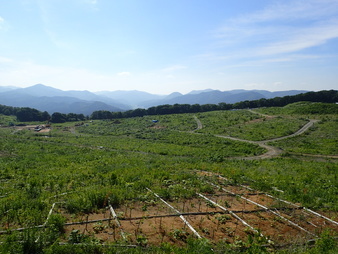 H2906240011