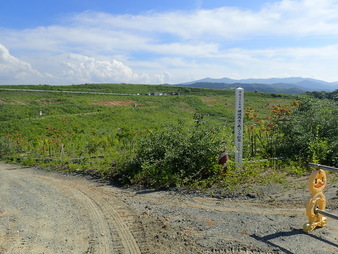 H2906240005