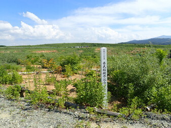 H2906240002