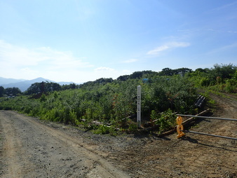 H2906240007