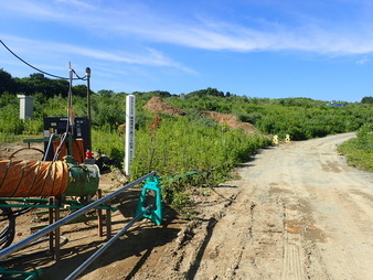 H2906240008