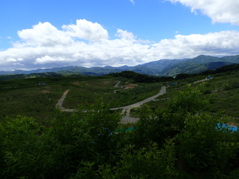 H3006250006
