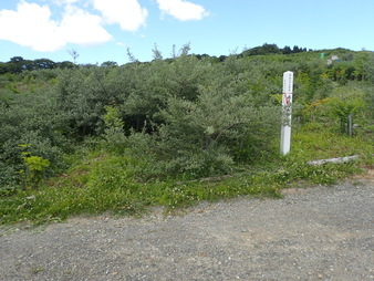 H3006250009