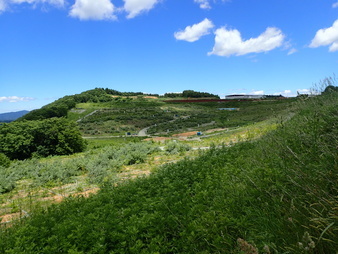 H3006250012