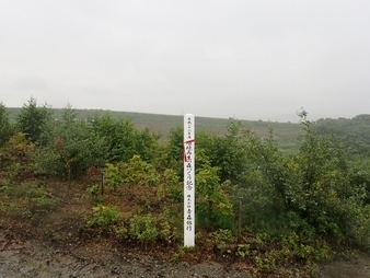 2907280003