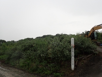 H2907280007