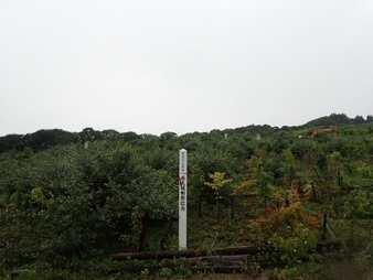 H2907280009