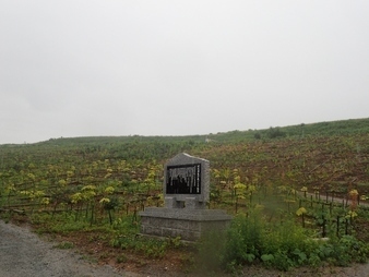 H2907280010