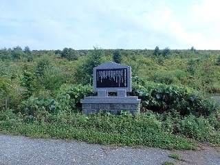 R0208030010