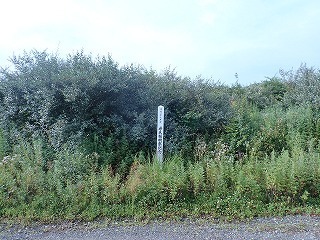 R0208030009