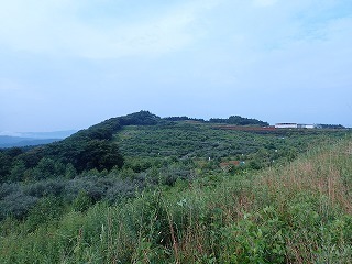 R0208030012