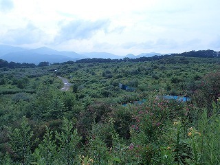 R0208030006