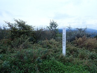 R0210010002