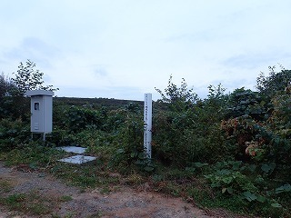 R0210010004