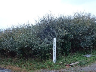 R0210010007