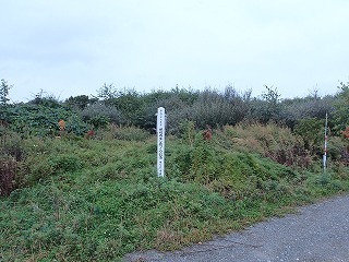 R0210010008