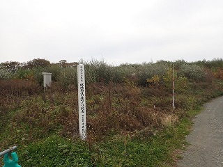 R0110290008