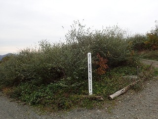 R0110290007