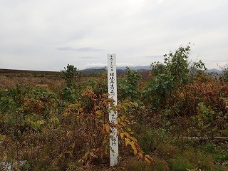R0110290004