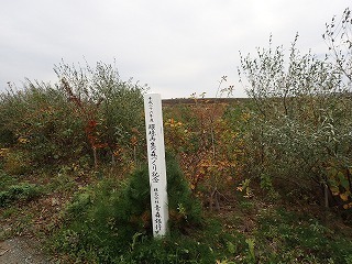 R0110290003