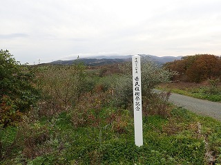R0110290002