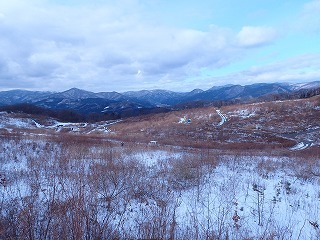 R0212020011
