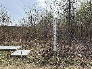 R0604180004