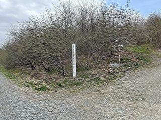 R0604180007