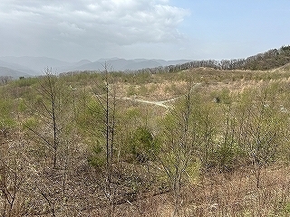 R0604180011