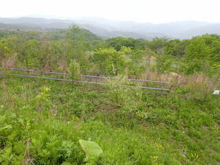 R0605160001