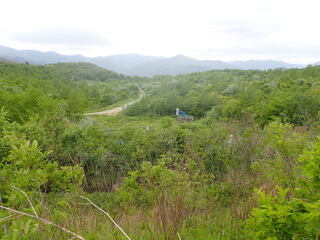 R0605160006