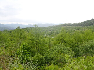 R0605160011